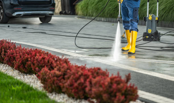 Best Graffiti Removal  in Kingsburg, CA